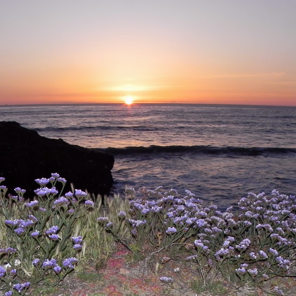 Meet your Posher, Steve